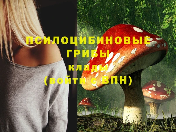 ECSTASY Новодвинск
