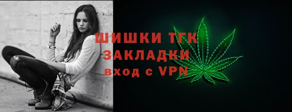 ешки Новозыбков