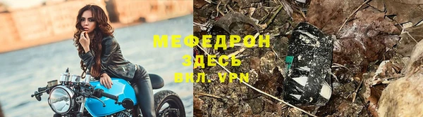 ешки Новозыбков