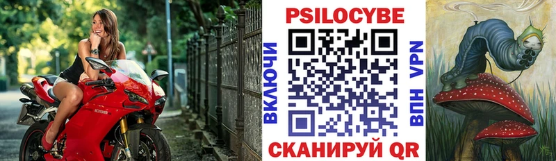 Псилоцибиновые грибы Psilocybe  Уяр 